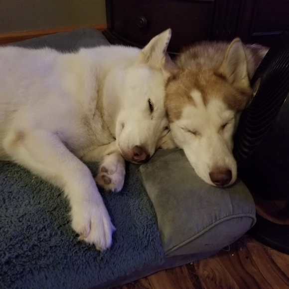 ❤ My Baby Girls ❤ - Picture 12 of 12